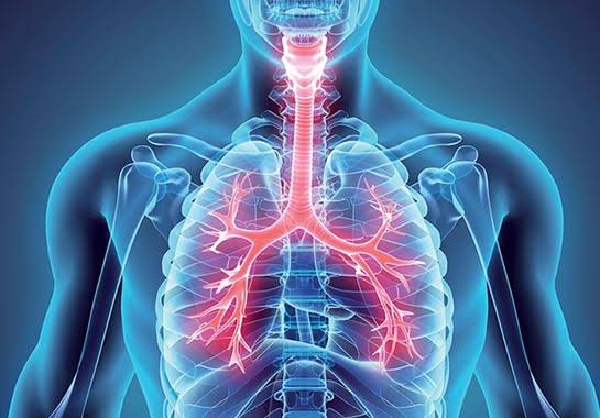 Enfisema Pulmonar: Quais sintomas e diagnóstico